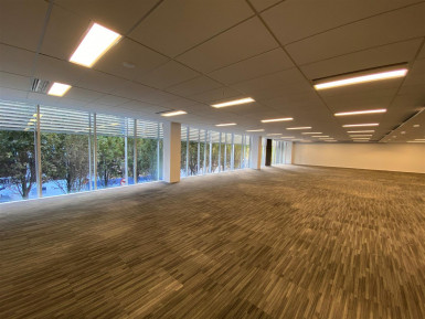 Carlaw Park Offices Property for Lease Parnell Auckland