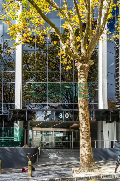 Full Floor Office for Lease Auckland Central