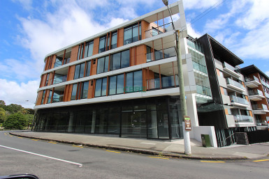 Ground Floor Offices for Lease Mount Eden Auckland