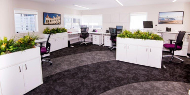 Modern Medical Tenancy Offices for Lease Remuera Auckland