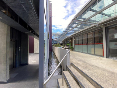 Mt Eden Magic Offices Property for Lease Auckland