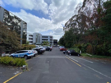 Offices for Lease Grafton Auckland