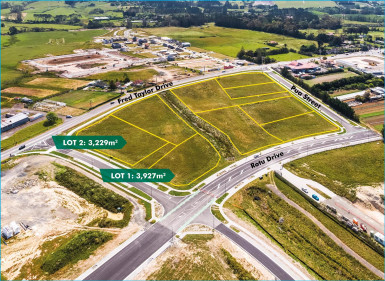 Industrial Land Property for Sale Westgate Auckland